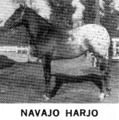 navajoharjo