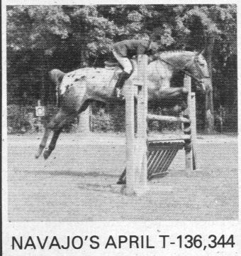 navajosapril