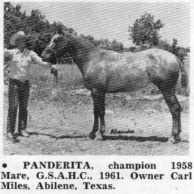 panderita