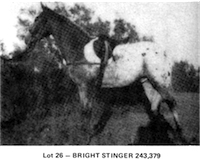 Bright Stinger