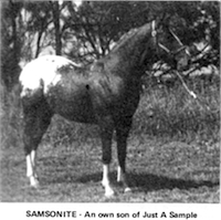 Samsonite