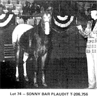 Sonny Bar Plaudit