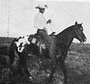 Appaloosa Photos from the Past