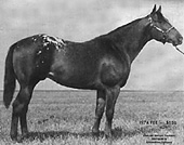 Hayes Roman Cloud