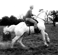 Harp's Commanche Chief