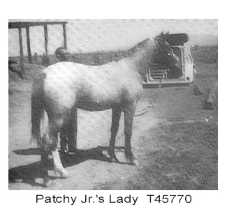 patchyjrslady