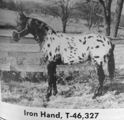 iron hand 2