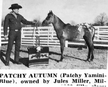 patchyautumn