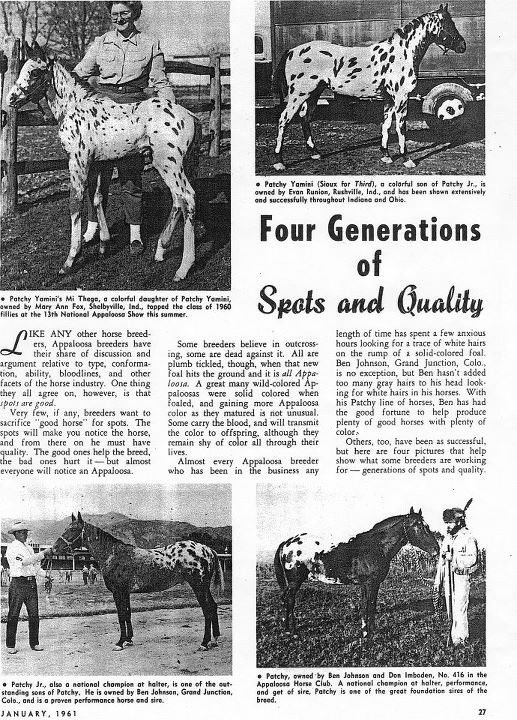 whjan61