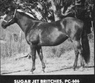 sugarjetbritches