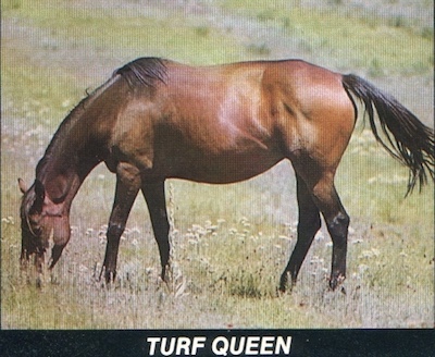 turfqueen