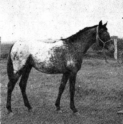 moneycreeksbeatawarrior