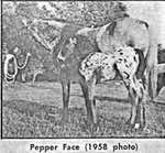pepperface2