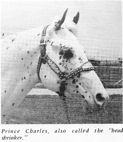 princecharles