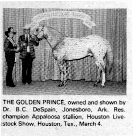 thegoldenprince