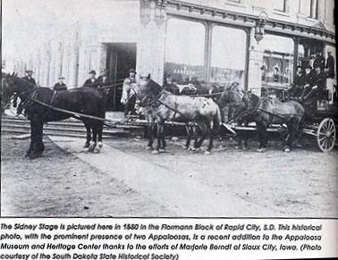 1880RapidCitySDstagecoach