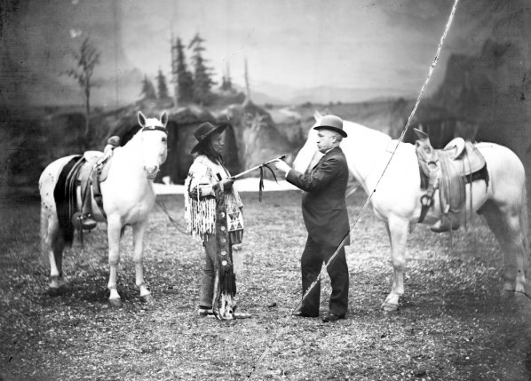 buffalobillhorses