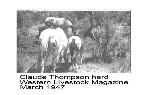 thompsonherdwlivestock