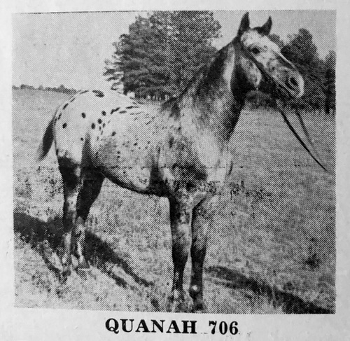 quanah8jpg