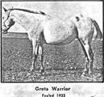 gretawarrior
