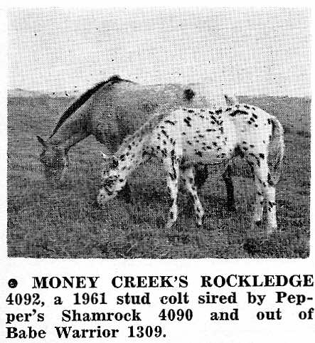 mcrockledgeasfoal