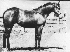 moneycreeksdashledge