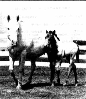 moneycreekskandiyohi2