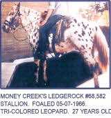 moneycreeksledgerock