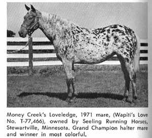 moneycreeksloveledge