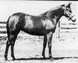 moneycreeksmissledgebars1