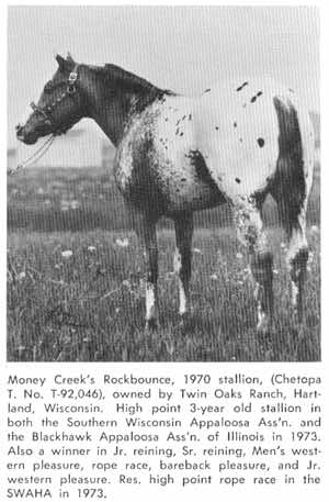 moneycreeksrockbounce