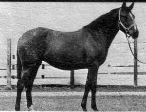 moneycreeksrockeileen