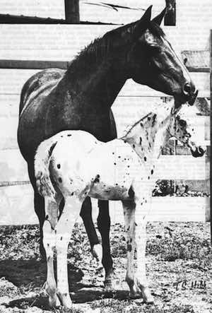 moneycreeksrockeileen3