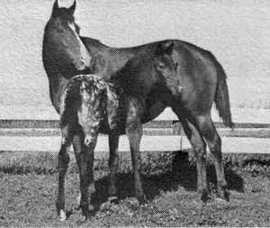 moneycreeksrocketta