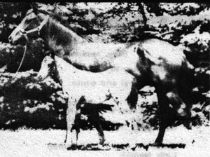 moneycreeksrocksong2