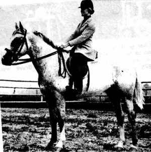 moneycreekssandbank3