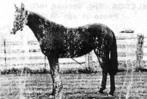 moneycreeksshebat