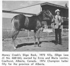 moneycreekssligorock3