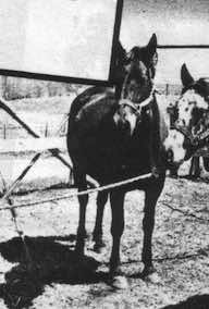 moneycreeksstarledge