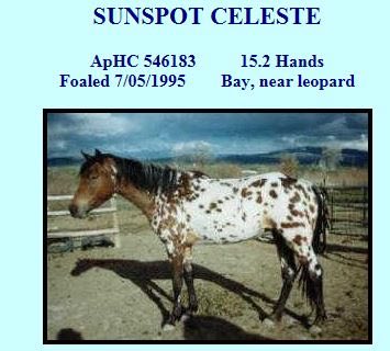 sunspotceleste