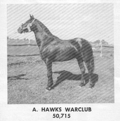 ahawkswarclub