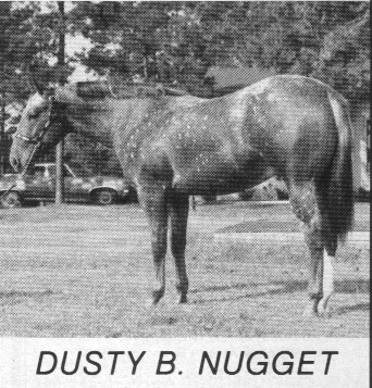 dustybnugget2