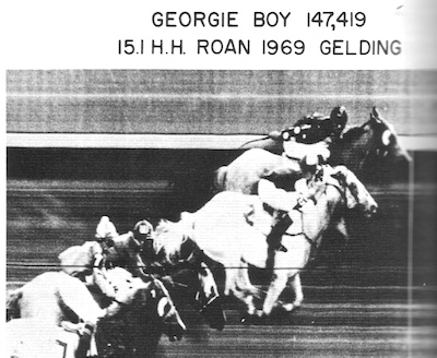 georgieboy