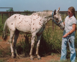 imacandyspots