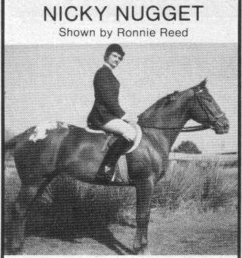 nickynugget