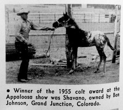 shavanoweanling