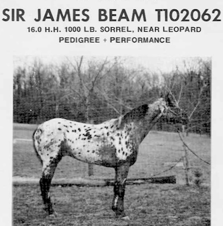 sirjamesbeam