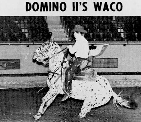 dominoiiswaco