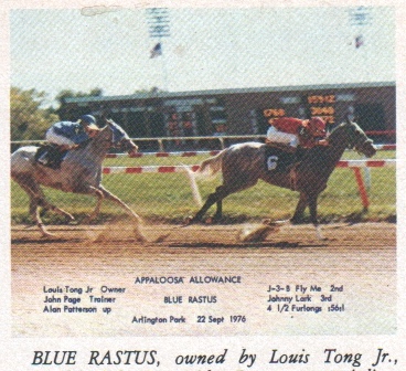 bluerastus