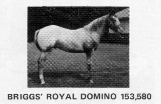 briggsroyaldomino